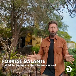 75K views · 488 reactions | ...Are American bears breaking into homes to get drunk?  Don't miss all three episodes of #AnimalsOnDrugs Monday starting at 8p on Discovery | Discovery | Facebook