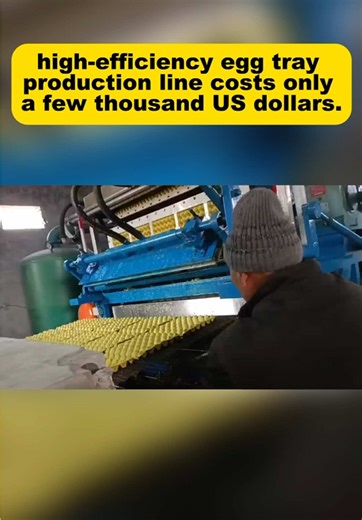 A high-efficiency egg carton processing line can be installed in your factory for only a few thousand dollars.#eggtray #eggtraymachine #eggtraymakingmachine #eggtraycraft #eggtrays