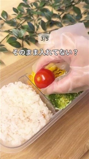 保存版📌食中毒を防ぐ！夏のお弁当で絶対NGなこと5選