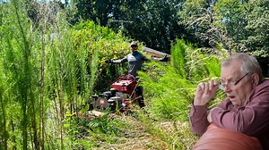 447K views · 10K reactions | NEIGHBOR said HE hadn't seen ANYONE touch this property in YEARS! (now we know why!) #mowing #overgrownyard #blessingboys #satisfying #cleaningtiktok #viral #edging #cleanup #fyp #viralvideo #transformation | Blessing Boys | Facebook