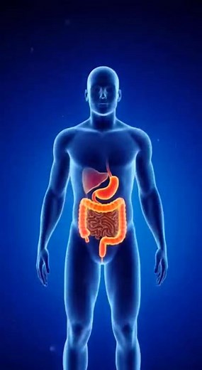 8.6K views · 74 reactions | Constipation and its solution | Anatomy Arts #constipation | Anatomy Arts | Facebook