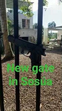 From Rust to Resilience: Iron Gate Repair in Sosúa, La Mulata!