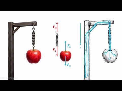 Actio erzeugt Reactio?