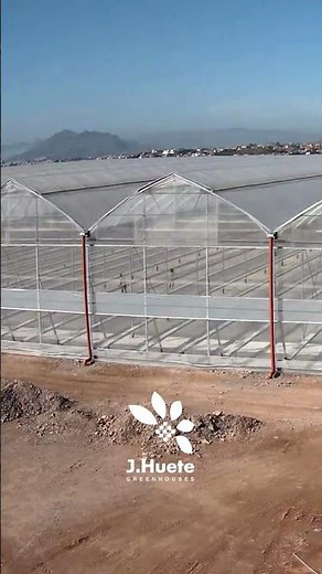 Finishing installing the plastic in greenhouses