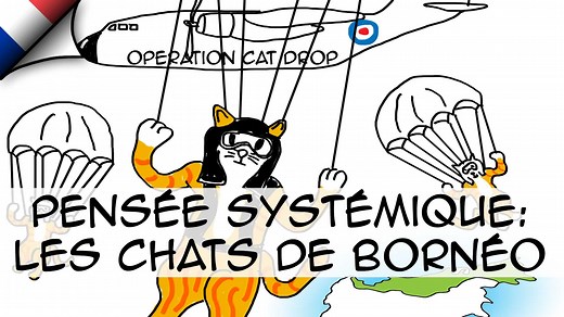 Pensée systémique: L'histoire des chats de Bornéo