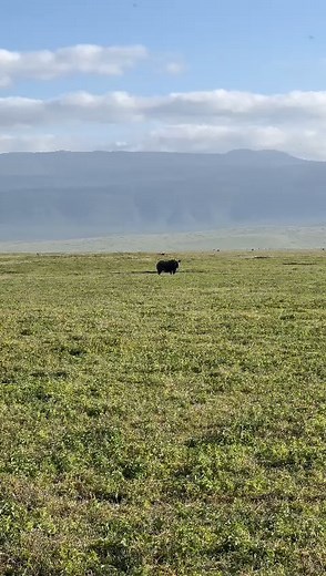 1K views · 46 reactions | Discover Ngorongoro Crater Day Trip...