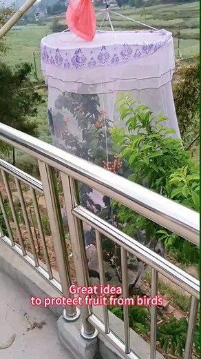 #viral #useful #lifehacks #idea #diy #tipsandtricks #creative #usa #learnontiktok #ideatimes #foryou