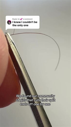 Celebrating Hair Care: Cutting Split Ends Together!