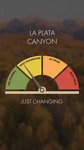 2.2K views · 26 reactions | Leaf Peeping Alert!  Grab your cameras and witness Durango's fall splendor with our handy "Leaf-o-Meter." . . #durangocolorado #fallcolors #visitdurango #coloradocheck #colorado #fallvibes #fallcolors | Visit Durango | Facebook