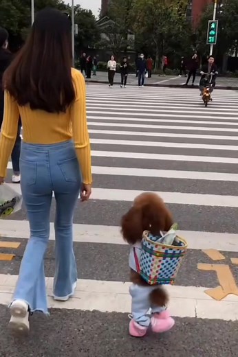 chainavideo on TikTok