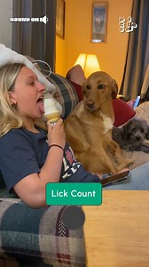 11M views · 2.1K reactions | "You wouldn't mind if I finish that....would you?" 襤(Via - Amy B.) | The Pet Collective | Facebook