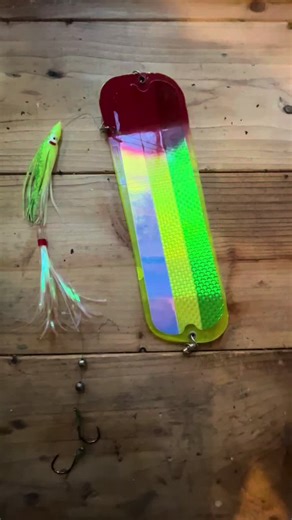 Couple of awesome coho rigs for you to try out while the coho fishing is on fire! Youtube - Sea Bums Fishing #fishing #salmonfishing #fishingtips #cohofishing #cohosalmon #fishingtactics