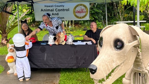 ‘Boo at the Zoo’ returns for spooktacular weekend on Hawaiʻi Island | Big Island Now