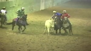 412K views · 22K reactions | De esta forma se dio el resultado final de la categoría sub 32 del II Circuito de @procoleoranking  @chinoarroyo1oficial estos se pasaron, disfruten este turnazo conformado por:  @adonis_perez24s / CR7 @lapolarica  @juanchacon1612 / María Lionza  @andresesoto / Miss Cat @josevsoto  @freddyborregooficial • #procoleoranking #pcr #video #coleo #venezuela | TorosColeados.com | Facebook