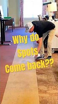 What is carpet wicking? #carpetcleaning #cleaning-tips #spotremover