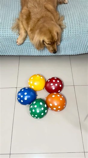 Most colorful visual ASMR satisfying video pop balon 🎈 #shorts #satisfying