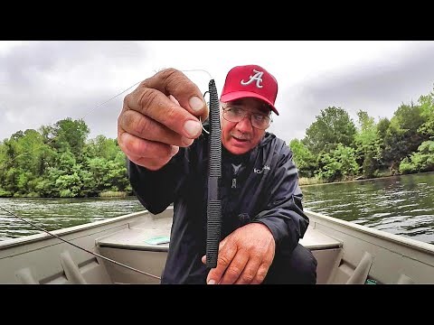 How To Rig and Fish A Senko! Complete Bass Fishing Setup