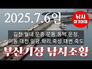(2025.7.6일) 부산기장권 핫플 방파제에서 낚시하는 강태공 스케치영상 및 낚시조황/부산기장권낚시조황/대리만족 힐링영상/낚시여기어때
