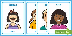 Emotions in Welsh Display Posters