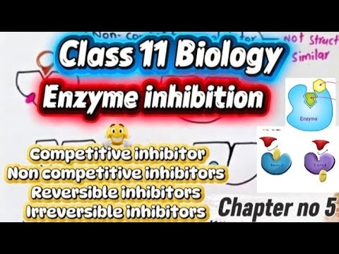 Enzyme inhibition|Class 11 biology|Chapter no 5