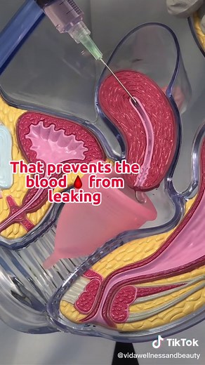 VIDAWELLNESSANDBEAUTY on TikTok