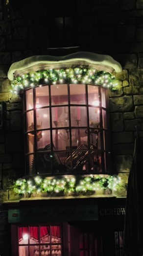Magic Window - Hogsmeade #harrypotter #magicwindow #hogsmeade #universalstudios #potterhead