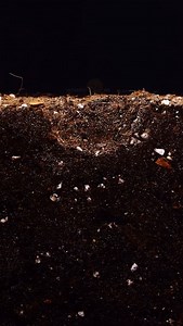 7.2K views · 3.7K reactions | Bean germination #timelapse | Interesting as FCK | Facebook