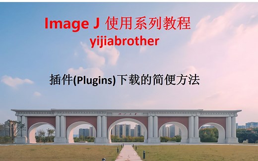 37.插件（plugins) 安装简便方法