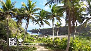 2.3K views · 63 reactions | YOUR WORLD AT HOME Here is a view of the spectacular Hidden Beach in northern Saipan! Catch more scenic views showing the beauty of Guam and CNMI each night on KUAM News Primetime. #guam #cnmi #paradise #kuamnews #scenic #view #pacific | KUAM News | Facebook
