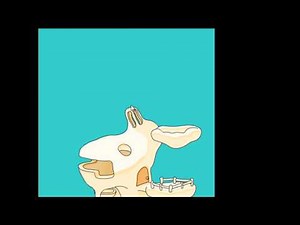 GROW Nano V1 - Walkthough