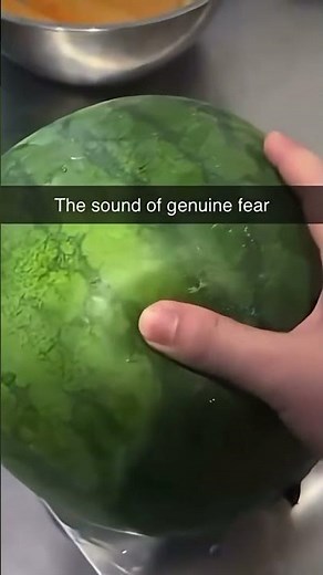 #nivetadhingramusic 🍉