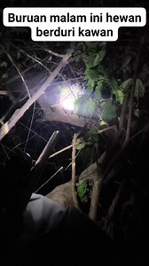 Berburu malam #landak #berburumalam #hunting #semuaorang #sorotan | Ade Qsj