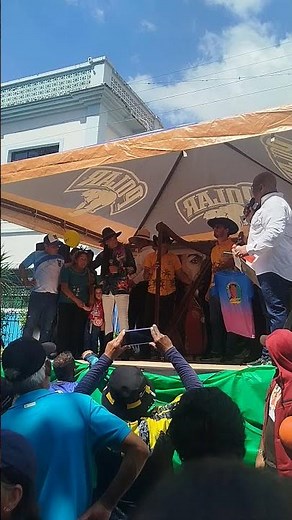 Performer Falls Off Stage During Celebration