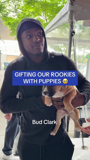 NFL Rookies Surprise with Adopted Puppies for First Day