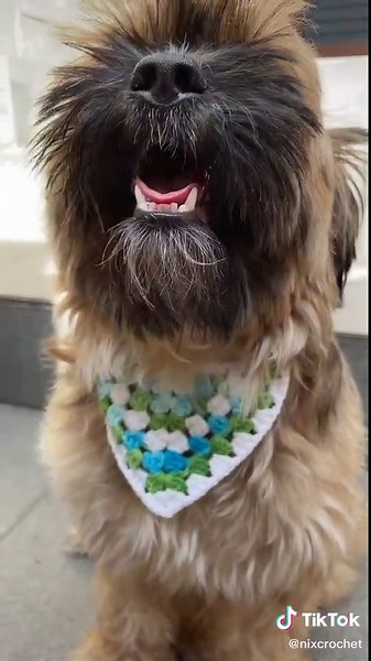 DIY Crochet Dog Bandana Tutorial