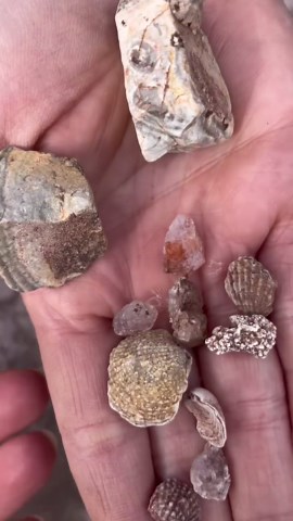 The Perfect Nature Getaway: Our Girls’ Trip to This Cozy Pine Cabin