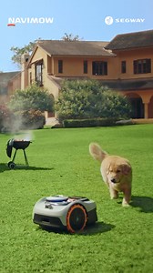 🎁 The Black Friday deal is here! Save up to 30% on Navimow i Series (up to $390 off), and save up to $700 on X Series 🎉! ✔️ App control and multi-zone management ✔️ Intelligent weather responsiveness ✔️ Precise obstacle avoidance ✔️ Unparalleled stability across complex terrains with TCS technology ⚡ Don’t miss out—claim your savings before they’re gone! | Segway Navimow