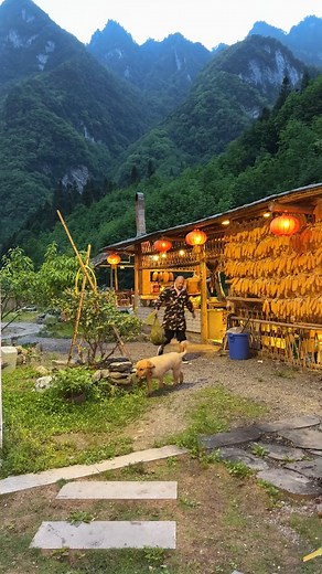 20K views · 900 reactions | Pro-level cooking skill | Hernandez | Facebook