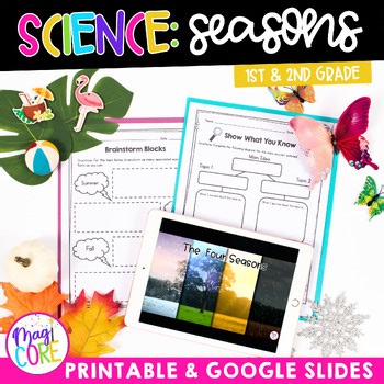 4 Seasons of the Year Weather 1st & 2nd Grade Earth Science Worksheets Activity