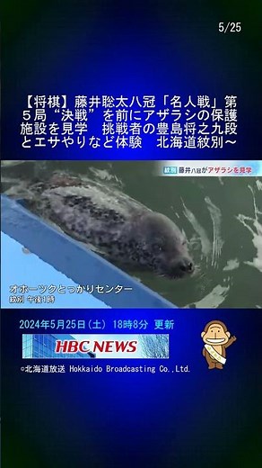 【将棋】藤井聡太八冠「名人戦」第５局“決戦”を前にアザラシの保護施設を見学 挑戦者の豊島将之九段とエサやりなど体験 北海道紋別市 #Shorts
