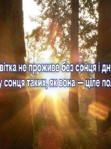 14:38. от такі метафори.. :) #рекомендации #щітпост #репост #fyp #foryou