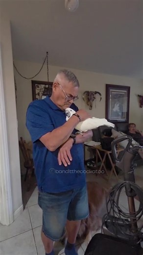 Grandpa Cuddles and Parrot Adventures
