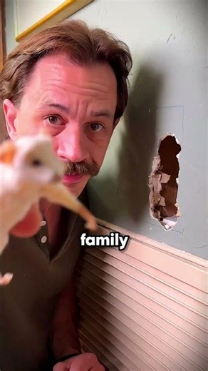 Hidden Mouse House