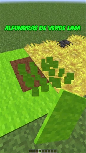 How to Make a Personalized Rug #minecraft #tutorial #shorts #viral #viralshorts