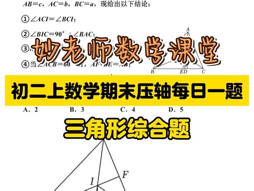 初二数学期末复习之三角形综合题