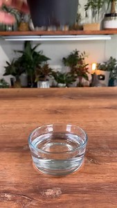 694K views · 2.3K reactions | I’ve had this tiny Anthurium around for...