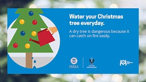 24 reactions | Stay safe this holiday season! Chief Garcia has some important fire safety tips to share regarding Christmas trees. Make sure to check it out and keep your home and family protected. #firesafety #holidaytips | City of Mission - Government | Facebook