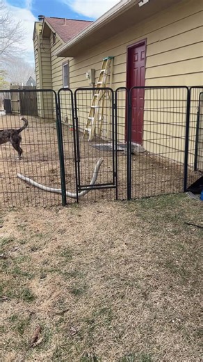 Durable Dog Playpen Fence Panel Sets with Gate