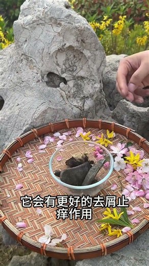 a day when a student is boiling shampoo at home#Homemade shampoo#Herbal shampoo#Hair care