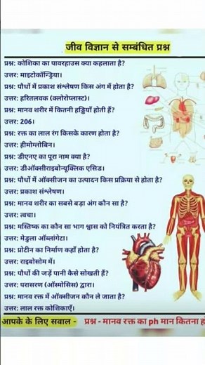 “Human Anatomy🩻🧬 Explained | Complete Body Anatomy for Beginners | Human Body Parts & Functions”